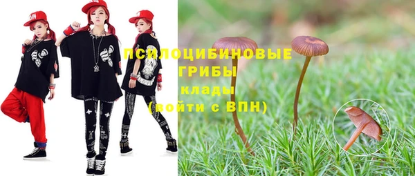 spice Арсеньев